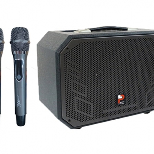 LOA KARAOKE DI ĐỘNG PROSING W8 ALISA 