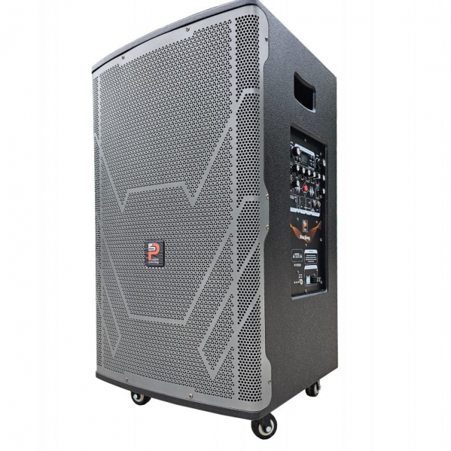 LOA DI ĐỘNG KARAOKE PROSING DSP-SUPER