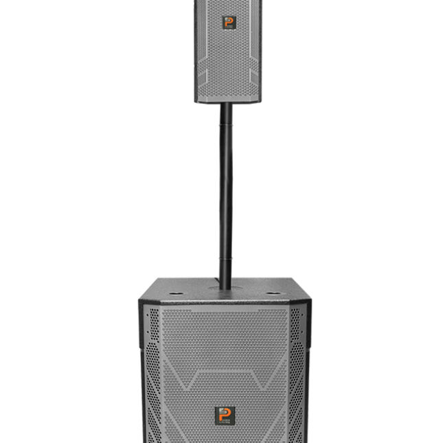 LOA KARAOKE KHÔNG DÂY PROSING W15-COT 10